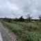Road View